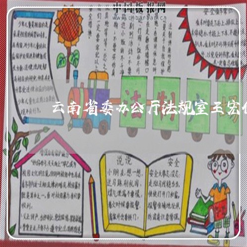 云南省委办公厅法规室王宏伟