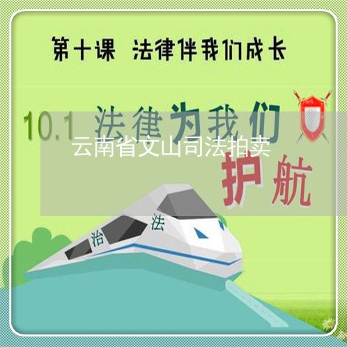 云南省文山司法拍卖 云南省文山司法拍卖