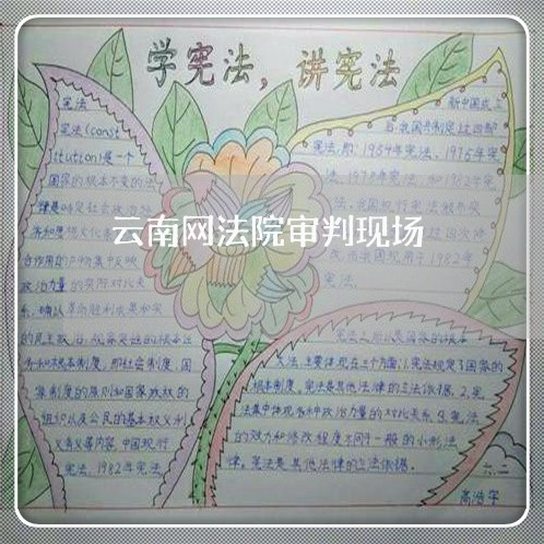 云南网法院审判现场