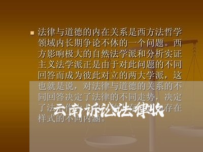 云南诉讼法律收