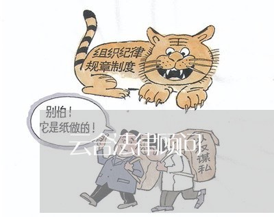 云合法律顾问/2023061736937 云合法律顾问/2023061736937