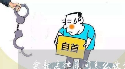 云龙法律顾问怎么收费/2023061704148
