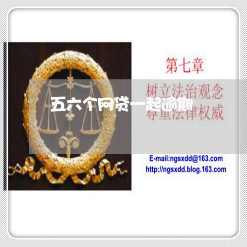 五六个网贷一起逾期 五六个网贷一起逾期