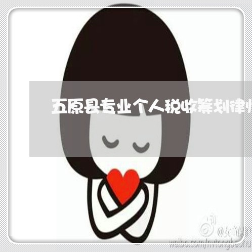 五原县专业个人税收筹划律师 五原县专业个人税收筹划律师