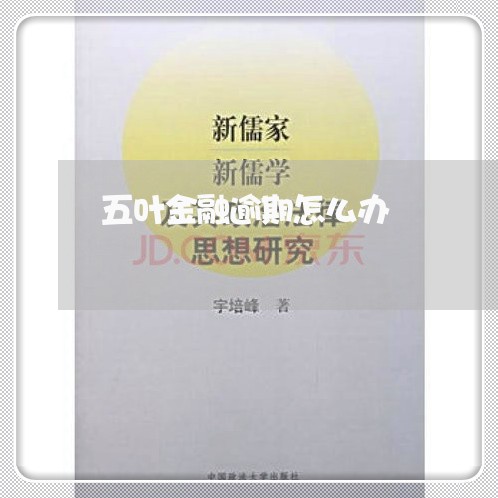 五叶金融逾期怎么办 五叶金融逾期怎么办