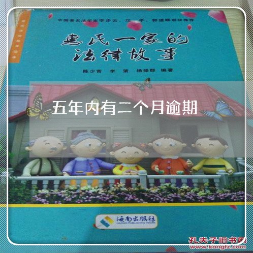 五年内有二个月逾期