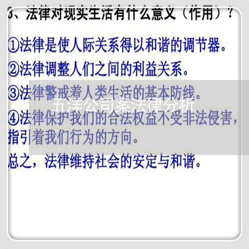 五洋公司案法律分析