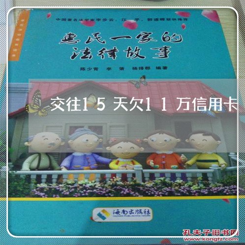 交往15天欠11万信用卡 交往15天欠11万信用卡