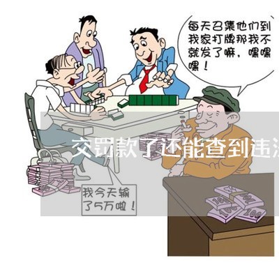 交罚款了还能查到违法信息 交罚款了还能查到违法信息