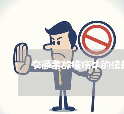 交通事故撞伤牛的法规 交通事故撞伤牛的法规