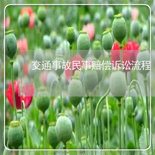 交通事故民事赔偿诉讼流程