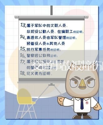 交通事故被撞伤应该赔偿哪些/2023061168160