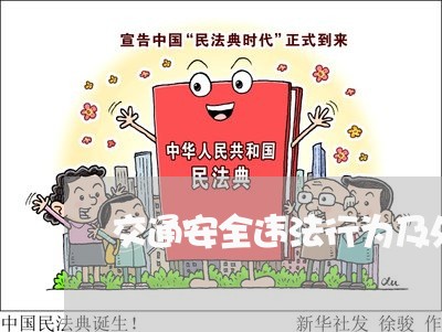交通安全违法行为及处罚依据