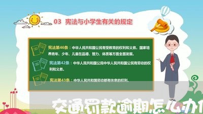 交通罚款逾期怎么办信用卡/2023042340715