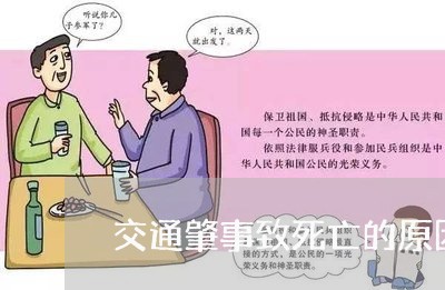 交通肇事致死亡的原因是什么/2023061183826