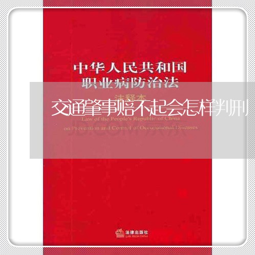 交通肇事赔不起会怎样判刑/2023061026270