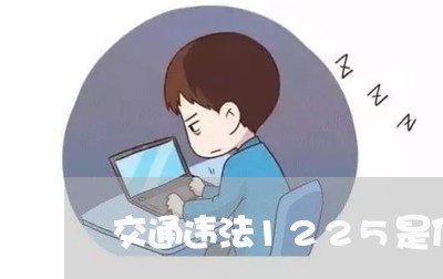 交通违法1225是什么意思