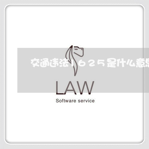 交通违法1625是什么意思