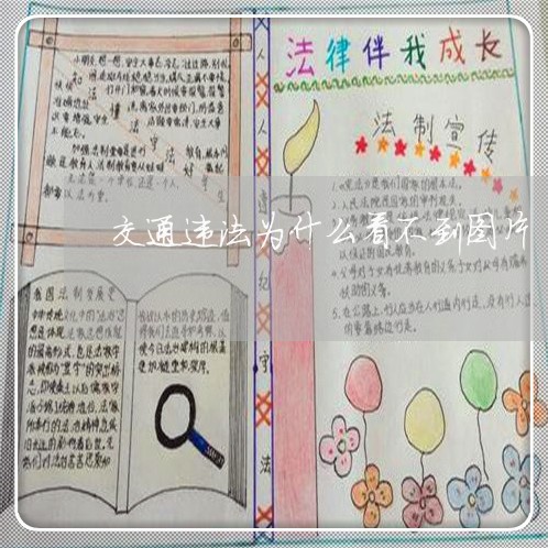 交通违法为什么看不到图片 交通违法为什么看不到图片