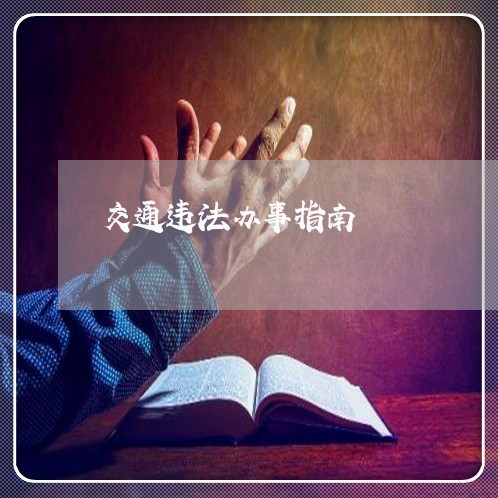 交通违法办事指南 交通违法办事指南