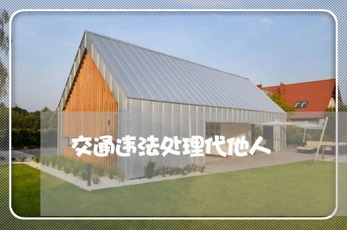 交通违法处理代他人 交通违法处理代他人