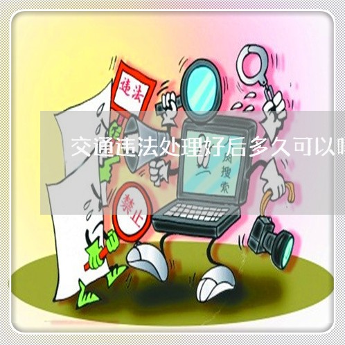 交通违法处理好后多久可以吗