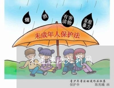 交通违法处罚网