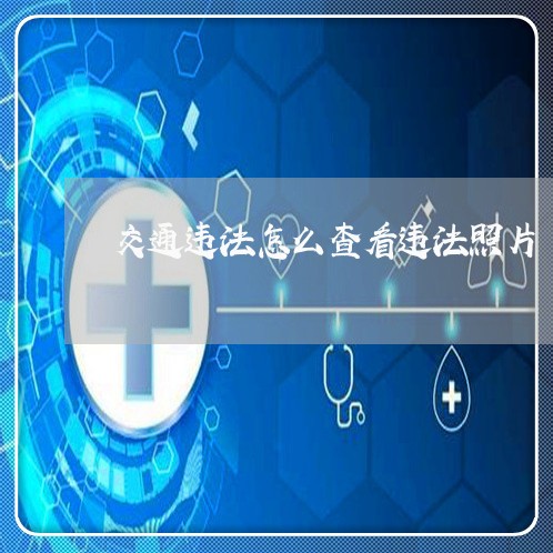 交通违法怎么查看违法照片 交通违法怎么查看违法照片
