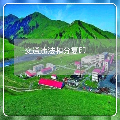 交通违法扣分复印 交通违法扣分复印