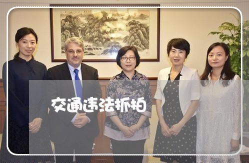 交通违法抓拍 交通违法抓拍