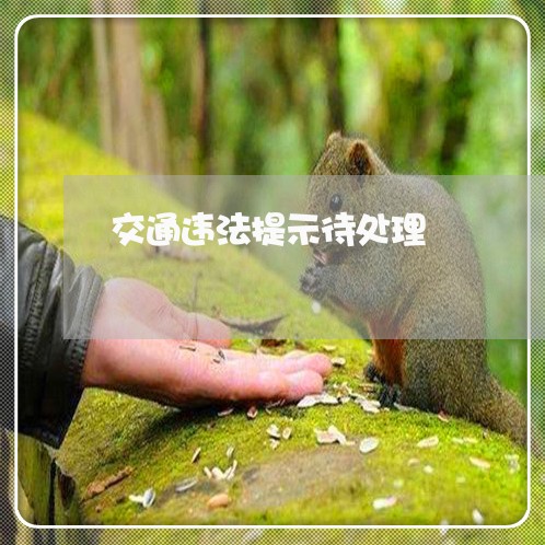 交通违法提示待处理