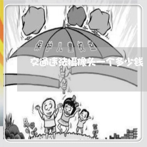 交通违法摄像头一个多少钱