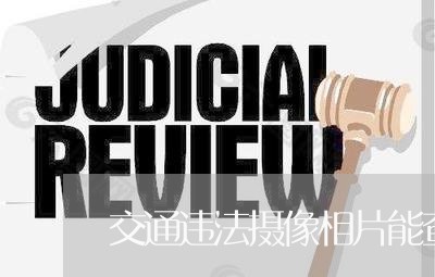 交通违法摄像相片能查到不