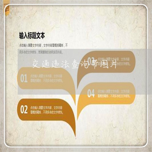 交通违法查询带图片