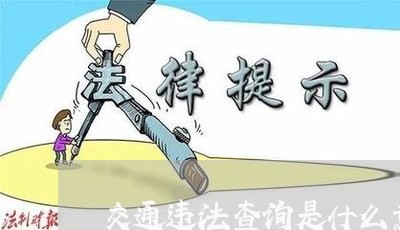 交通违法查询是什么意思