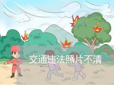 交通违法照片不清 交通违法照片不清