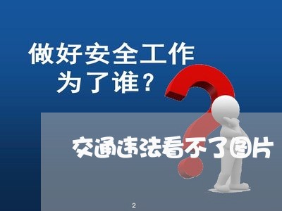 交通违法看不了图片