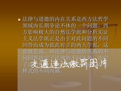 交通违法缴罚图片 交通违法缴罚图片