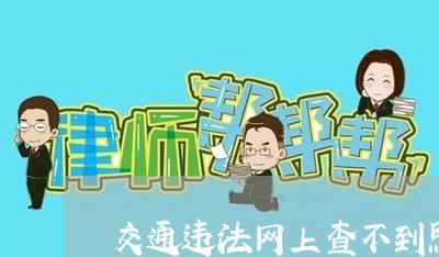 交通违法网上查不到照片么