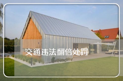 交通违法翻倍处罚