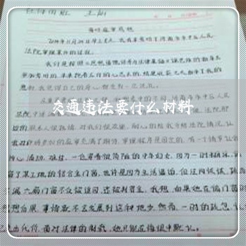 交通违法要什么材料