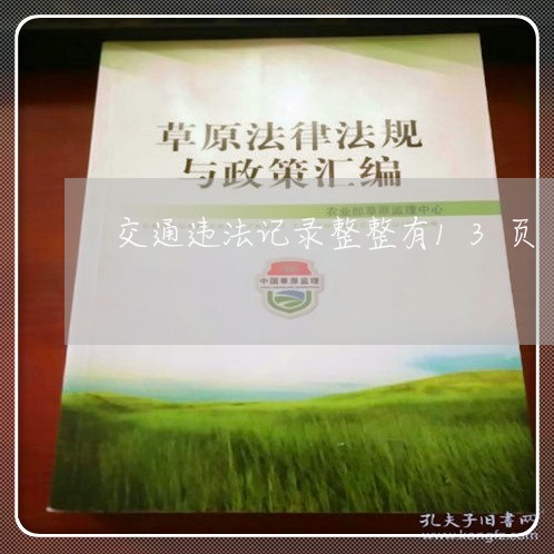 交通违法记录整整有13页