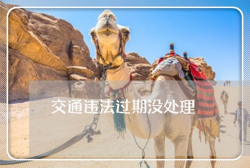 交通违法过期没处理 交通违法过期没处理