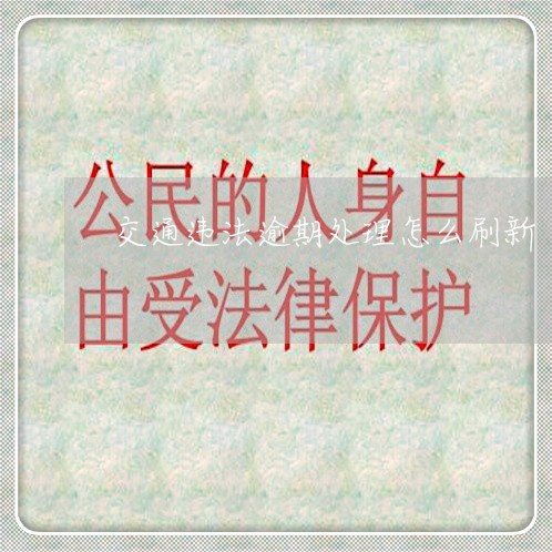 交通违法逾期处理怎么刷新 交通违法逾期处理怎么刷新
