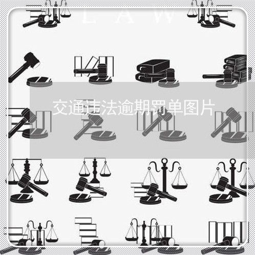 交通违法逾期罚单图片/2023102659464