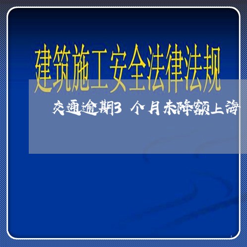 交通逾期3个月未降额上海/2023062830715