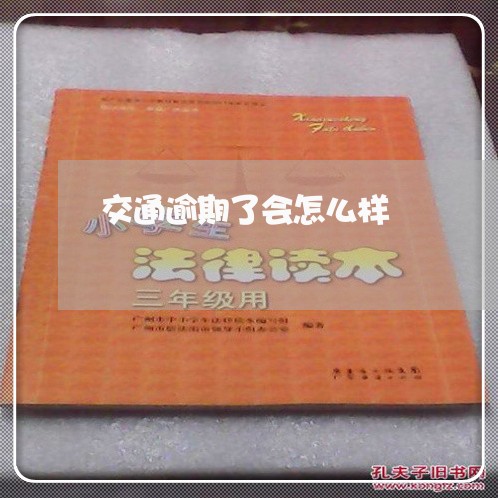 交通逾期了会怎么样/2023020742727 交通逾期了会怎么样/2023020742727
