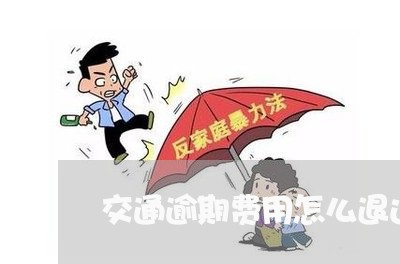 交通逾期费用怎么退还/2023032280805