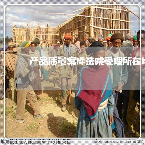 产品质量案件法院受理所在地