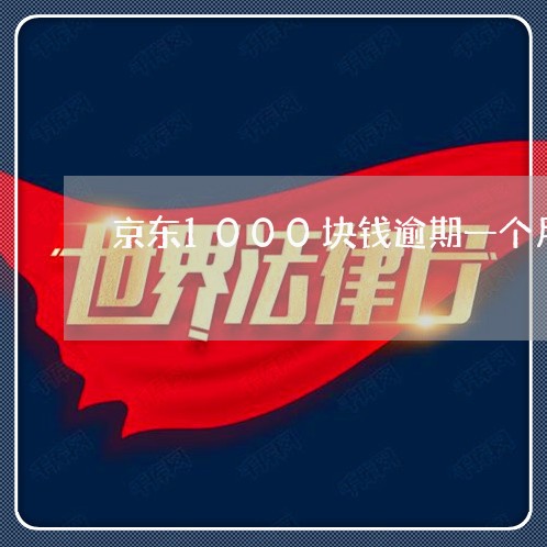 京东1000块钱逾期一个月 京东1000块钱逾期一个月